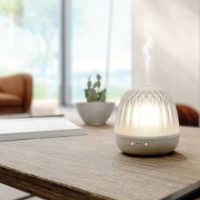 Buy Pranarom Cera Barocco Diffuser Online | In Stock & Worldwide Shipping - Idivia