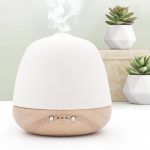 Pranarom Cera Diffuser - Image 2