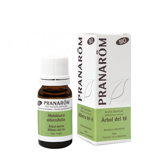 PranaromTeaTreeEssentialOil10ml Pranarôm Óleo Essencial de Tea Tree 10 ml - Image 1