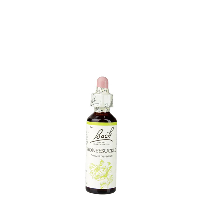 BachOriginalHoneysuckle20ml Floral de Bach Honeysuckle 20ml - Image 1