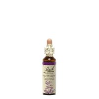 Buy Outras necessidades Online - Idivia Beauty Shop