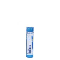 Boiron Carbo Vegetabilis 9CH Granules x80