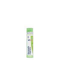 Boiron Hamamelis Virginiana 5CH Granules x80