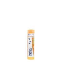 Boiron Hypericum Perforatum 15CH Granules x80