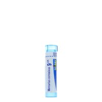 Boiron Mercurius Corrosivus 9CH Granules x80