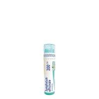 Idivia - Global Health & Beauty Online Shop