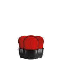 Shiseido Hanatsubaki Hake Polishing Face Brush