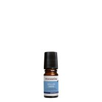 Pranarom Aromanoctis Roll-On 5ml