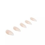 Ardell Nail Addict プレミアム人工爪セット オンブレフェード x24 - 画像 (2)
