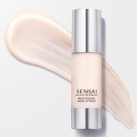 a  primer  indicated  for  enhancing  foundation  finish.