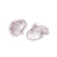 Idivia - Global Health & Beauty Online Shop