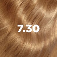 a permanent dye indicated for full gray coverage.