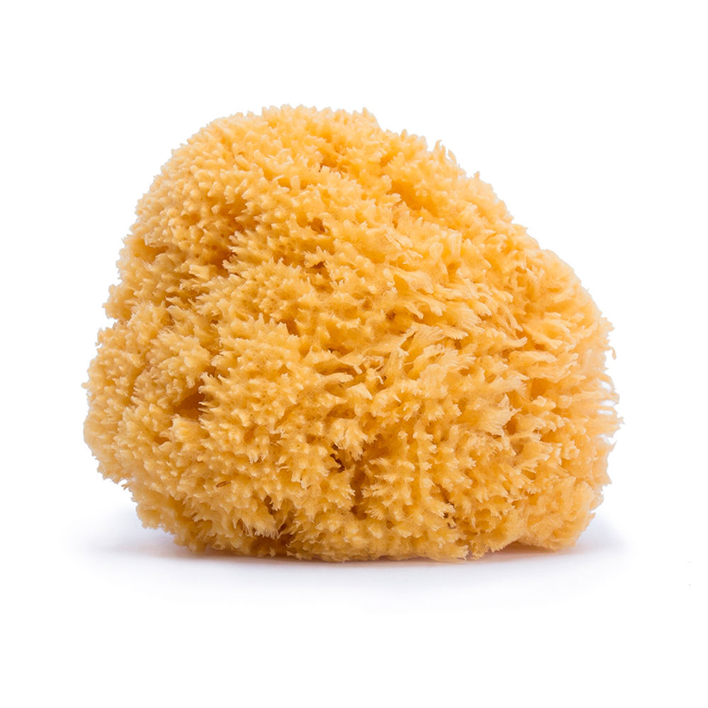 SuavinexNaturalSpongeForBath スアビネックス バス用スポンジ - 画像 (1)