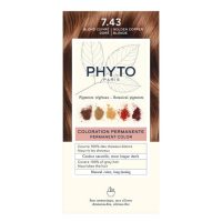 Buy Cabelo pintado ou com madeixas Online - Idivia Beauty Shop