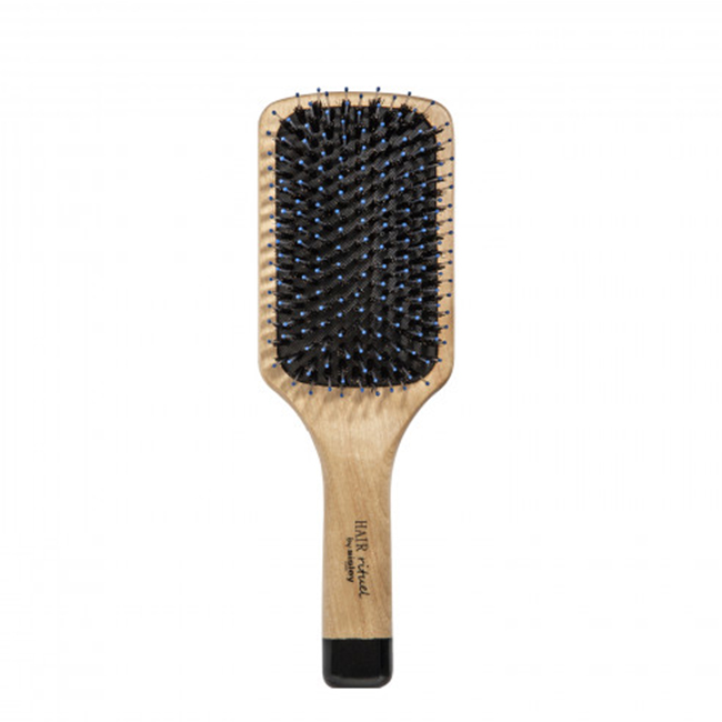 SisleyHairRituelTheBrush Sisley Hair Rituel The Brush