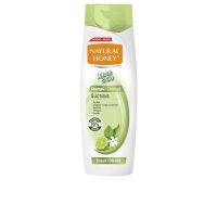 Bottle  of  Natural  Honey  Wash  &  Go  Shampoo  Oily  Hair  by  Natural  Honey,  a  shampoo  indicated  for  balancing  oil  production  of  the  scalp.