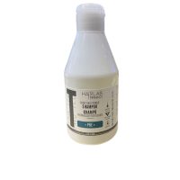 Bottle  of  Salerm  Purifying  Primer  Shampoo  by  Salerm,  a  micellar  shampoo  indicated  for  capturing  impurities  and  eliminating  residues.