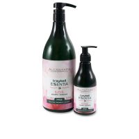 Bottle  of  Traybell  Essentia  SOS  Shampoo  by  Alcantara  Cosmética,  a  shampoo  indicated  for  hydrating  dry  and  dehydrated  hair.