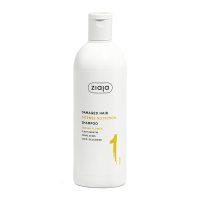 Bottle  of  Ziaja  Plant  Essentials  Banana  Flower  Nourishing  Shampoo  by  Ziaja,  a  shampoo  indicated  for  damaged  hair.