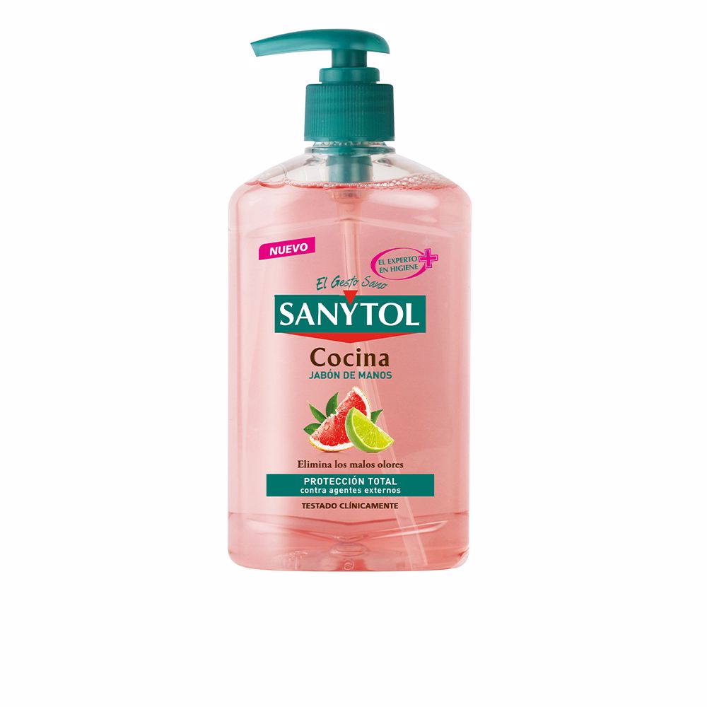 120417.jpg Sanytol Hand Soap Antibacterial Kitchen 250 ml - Image 1