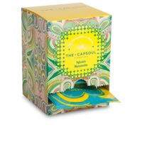 Box  of  The  Capsoul  Chamomile  Tea  by  The  Capsoul,  a  pyramid  tea  bag  indicated  for  tranquility  and  digestive  comfort.