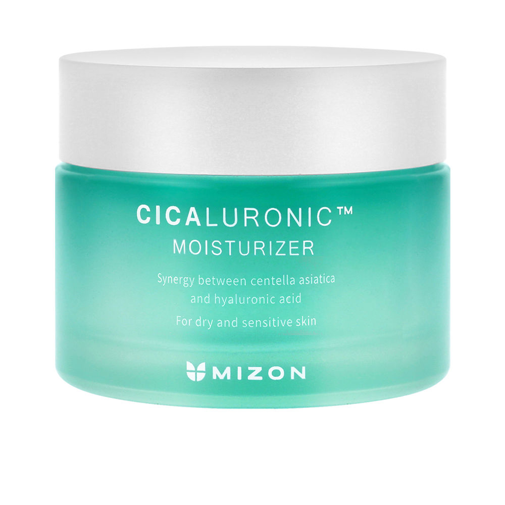 190049.jpg Mizon Cicaluronic Moisturizer 120 ml - Image 1
